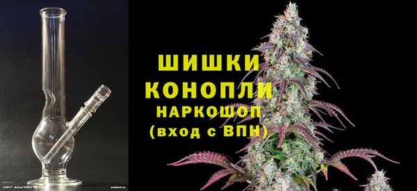 Альфа ПВП Верея